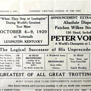 1920 Peter Volo Trotting Sale Horse Advertisement Lexington Kentucky Event DWYY9
